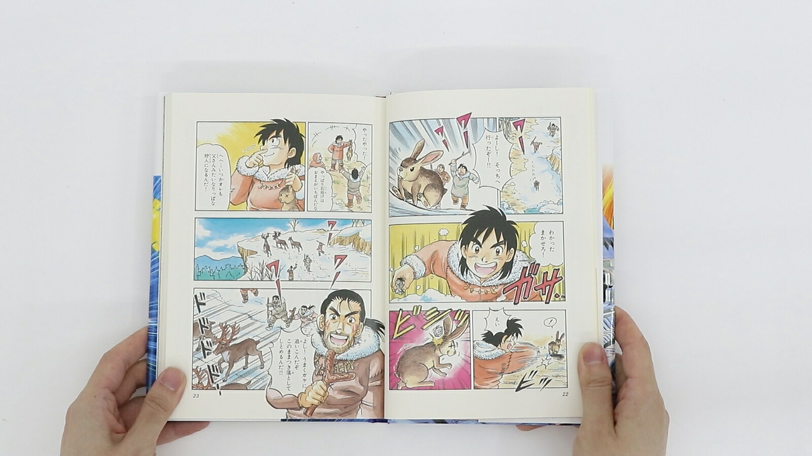 集英社版学習漫画世界の歴史全22巻セット(新装ケース&特典つき)