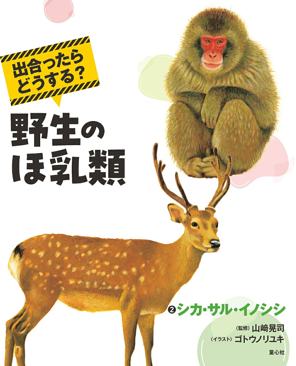 出合ったらどうする？野生のほ乳類2シカ・サル・イノシシ[山崎晃司]