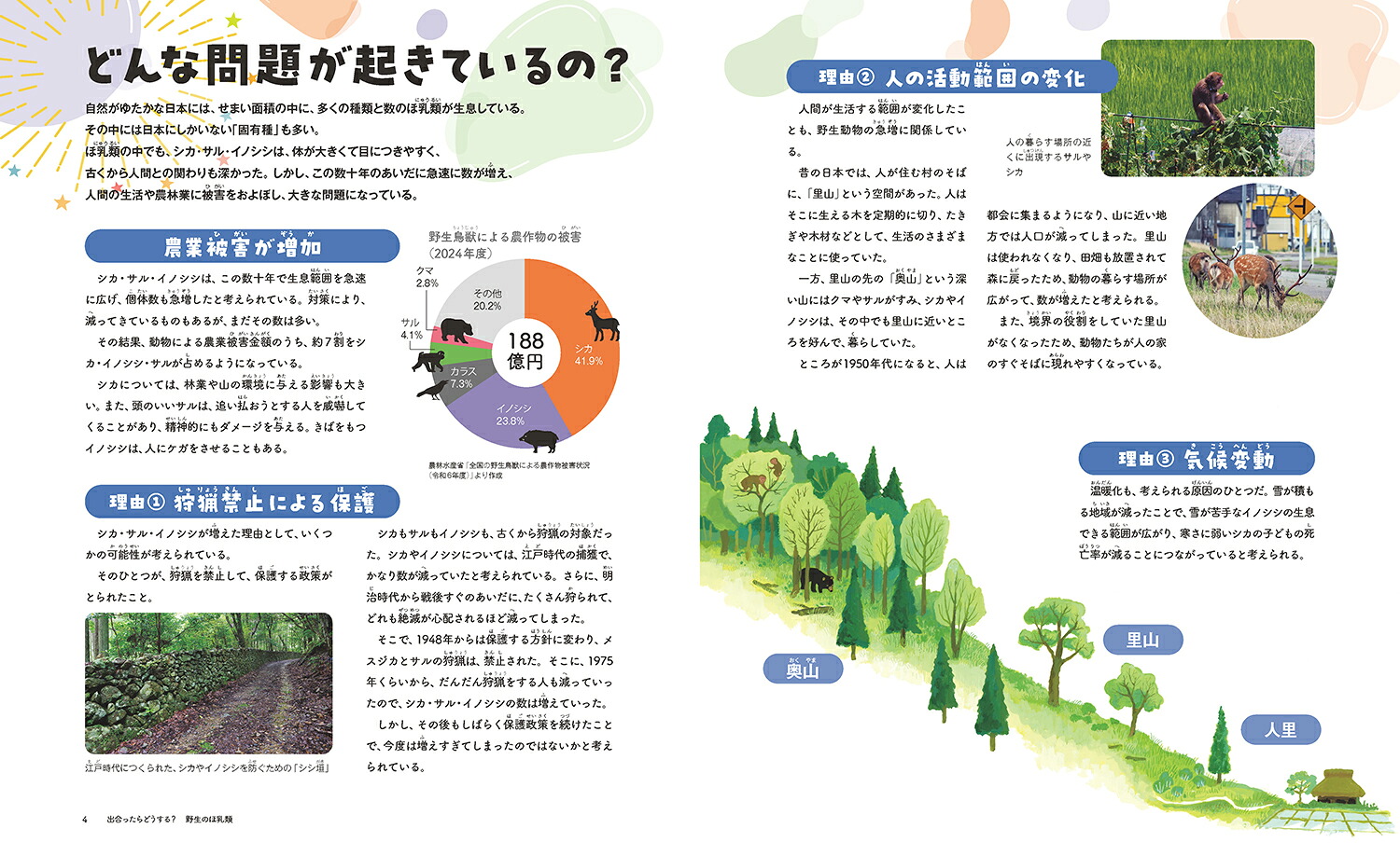 出合ったらどうする？野生のほ乳類2シカ・サル・イノシシ[山崎晃司]