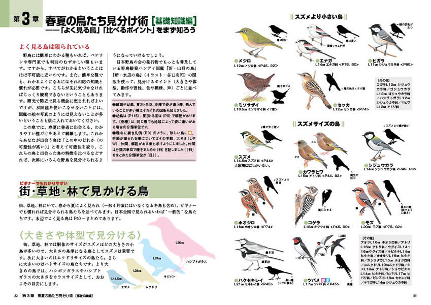 楽天ブックス Dvd付季節の野鳥図鑑 春の野鳥 を見に行こう 安西 英明 本