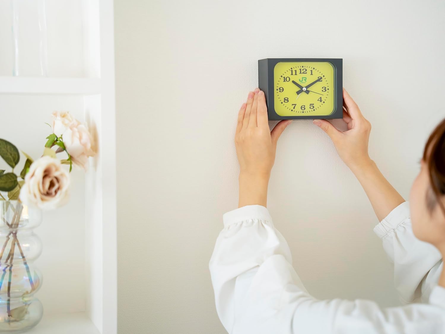 JR�����ܤߤɤ�αػ���BOOK��TJMOOK��