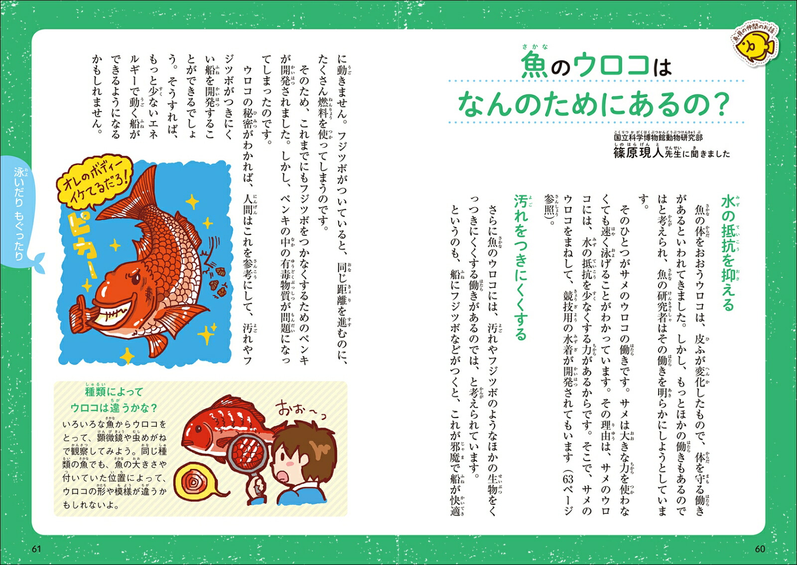 楽天ブックス 生きもののふしぎなお話 なぜ どうして 編 理系脳を伸ばす遊び 調べ学習ヒント付き 自然史学会連合 本