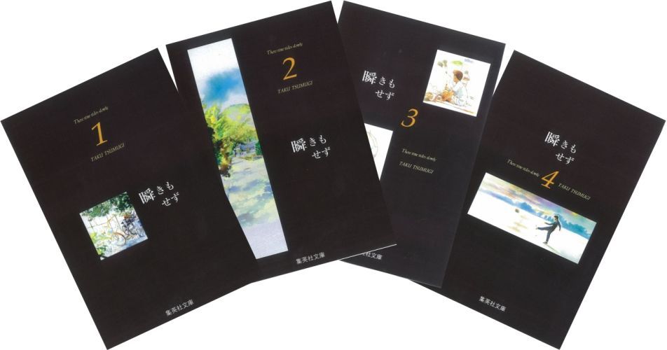 瞬きもせず 文庫版 コミック 全4巻完結セット (集英社文庫―コミック版)／紡木 たく 楽天ブックス: 瞬きもせず 文庫版 コミック 全4巻 完結セット