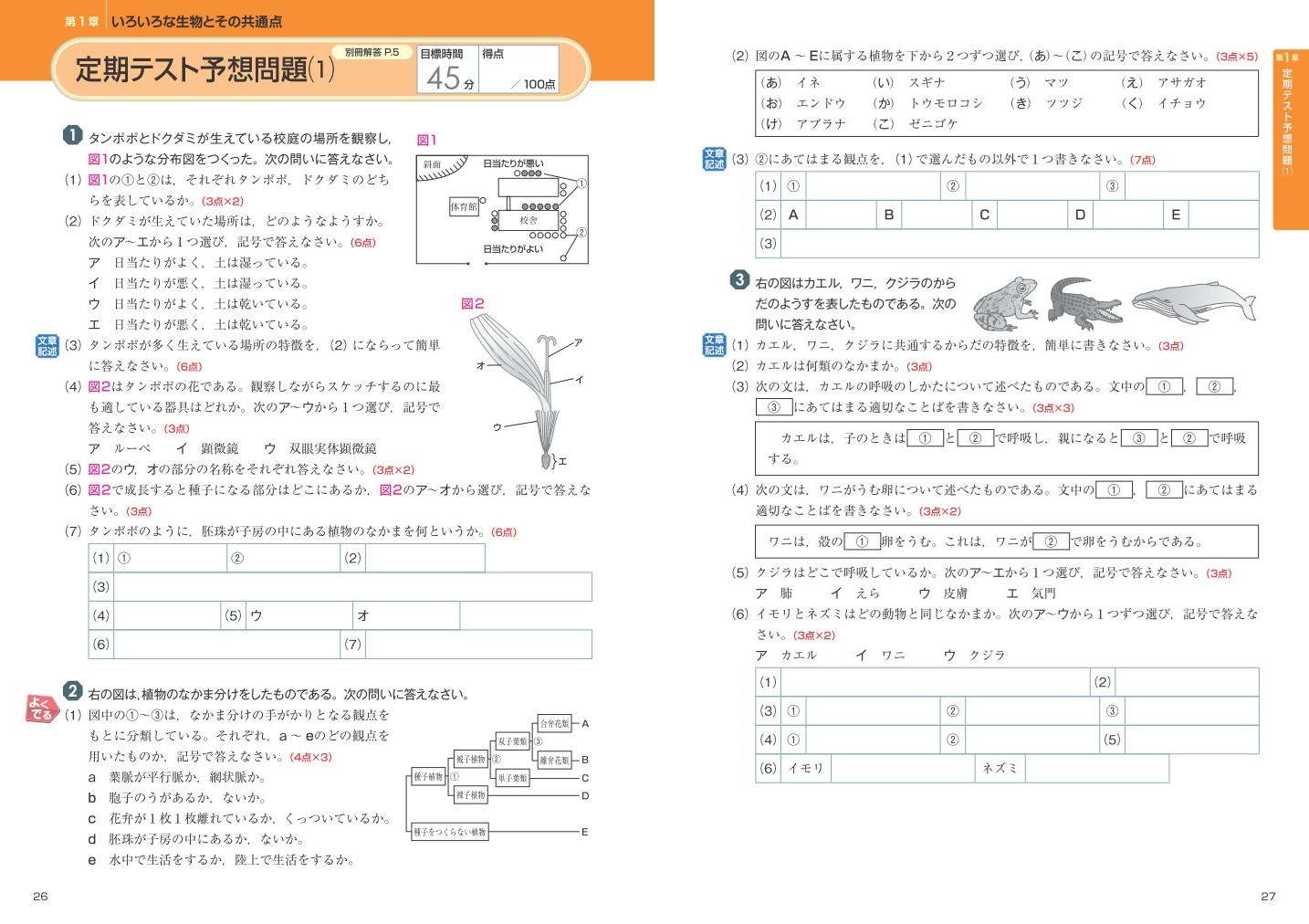 楽天ブックス 中学定期テスト 得点アップ問題集 中1理科 旺文社 本