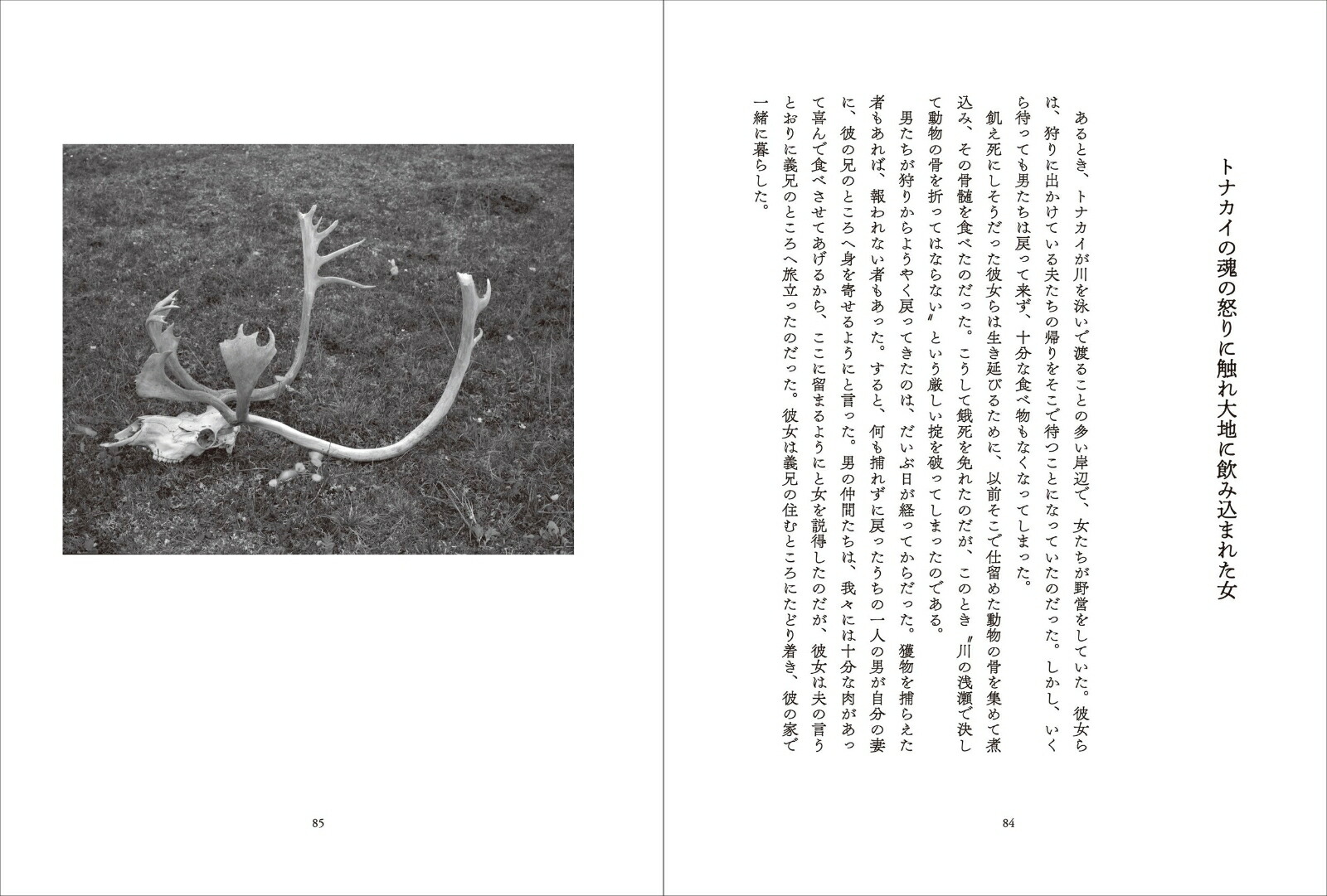 �ĥ�ɥ�ε����������⡼�������Ż�[Ȭ����]