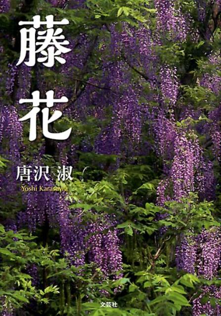 楽天ブックス 藤花 唐沢淑 本