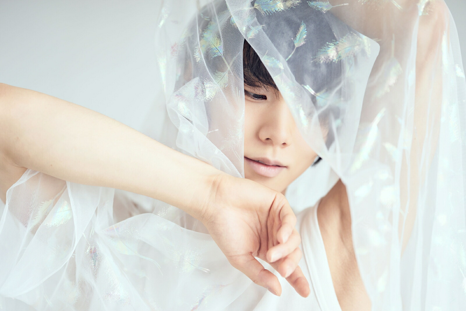 Photon�����븹�̿���[�������ɴ�]