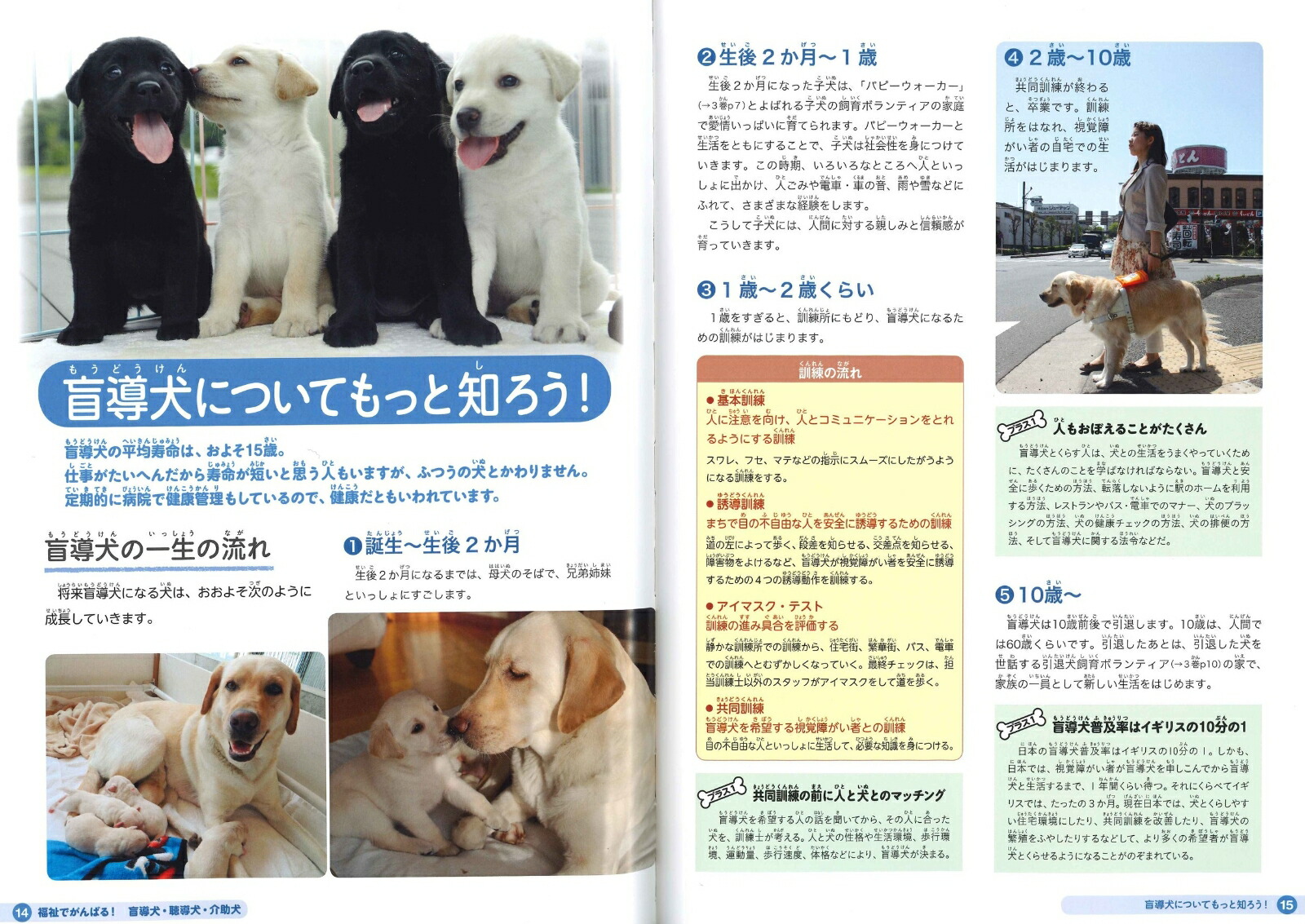 楽天ブックス 1 福祉でがんばる 盲導犬 聴導犬 介助犬 こどもくらぶ 本