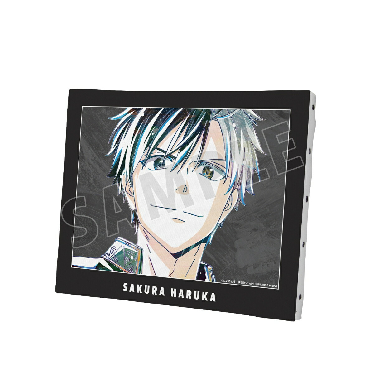 ブックス: 【グッズ】TVアニメ『WIND BREAKER』 桜 遥 Ani-Art キャンバスボード - WIND BREAKER - 4571622839102 : DVD