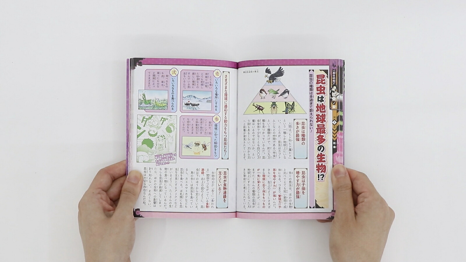 〖新品未使用〗☆鬼滅の刃☆キメツ学園!全集中ドリル☆全巻セット☆ 鬼滅の刃 キメツ学園!全集中ドリル 全巻セット (最強勉タメ