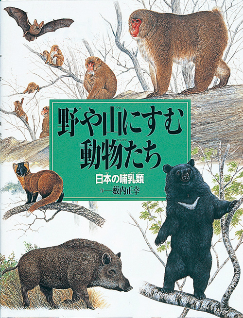 楽天ブックス: 野や山にすむ動物たち - 日本の哺乳類 - 藪内正幸