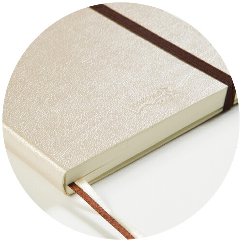 楽天ブックス 19年 手帳 ハンドタイプダイアリー マンスリー ウィークリー B6 シャンパンゴールド Pbf92go19 本