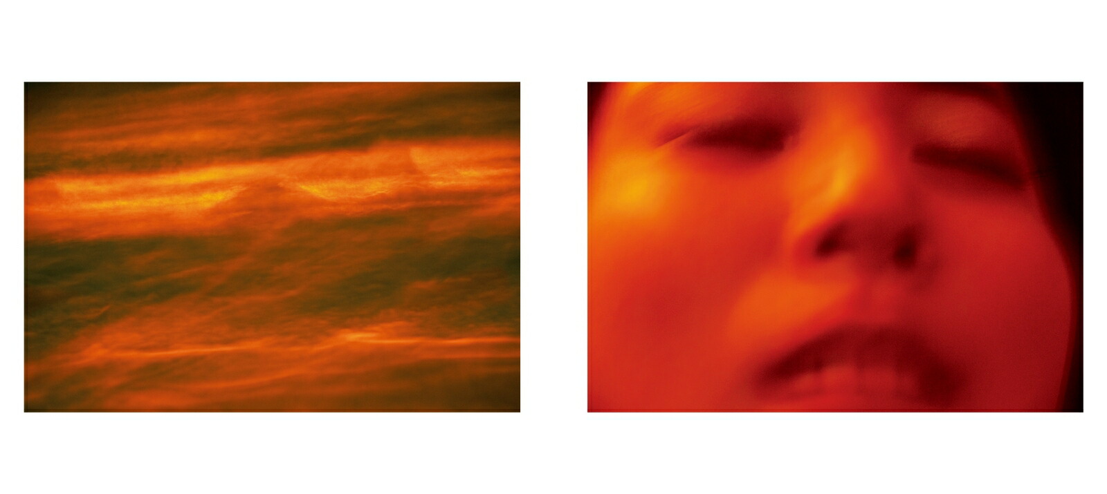 �Ϥ���Ƥ��ä�[�綶��]