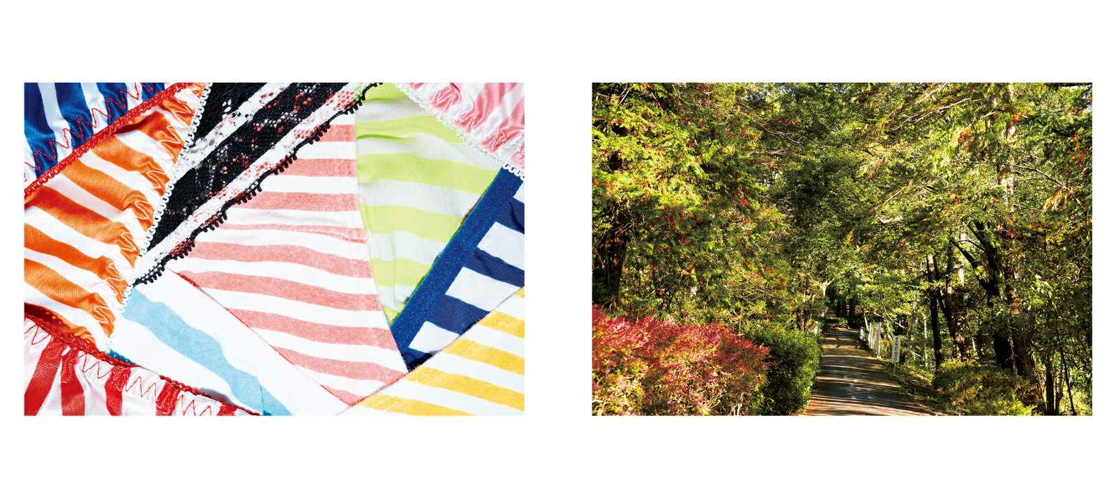 �Ϥ���Ƥ��ä�[�綶��]