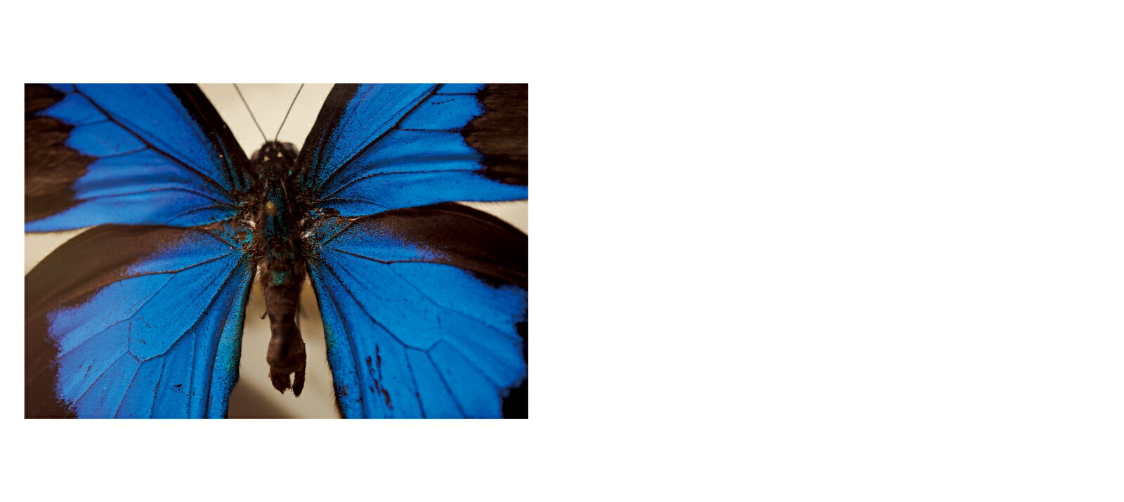 �Ϥ���Ƥ��ä�[�綶��]