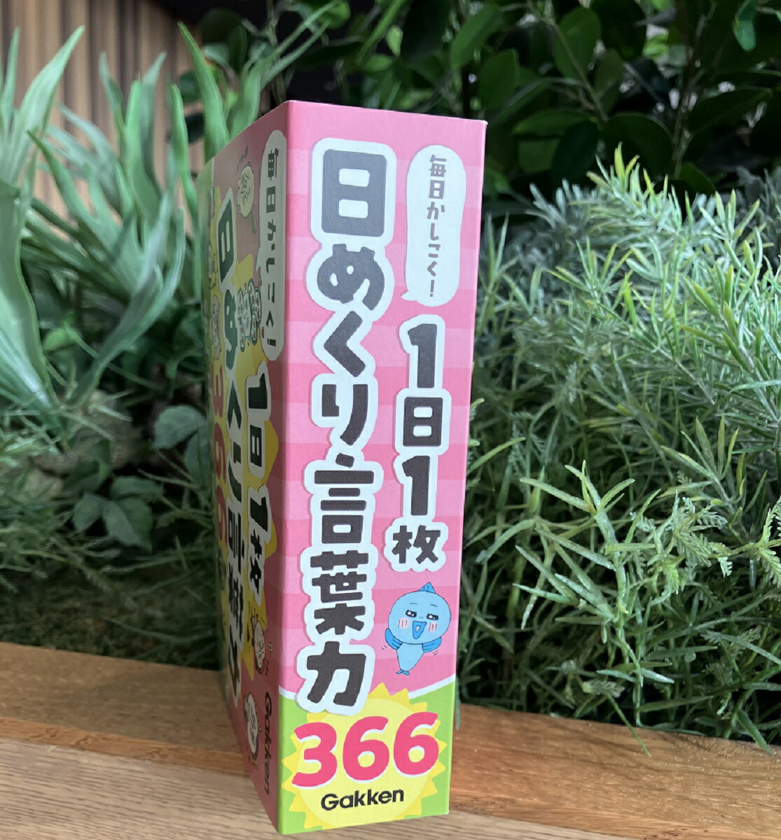 ��������������1��1�����᤯�������366[Gakken]