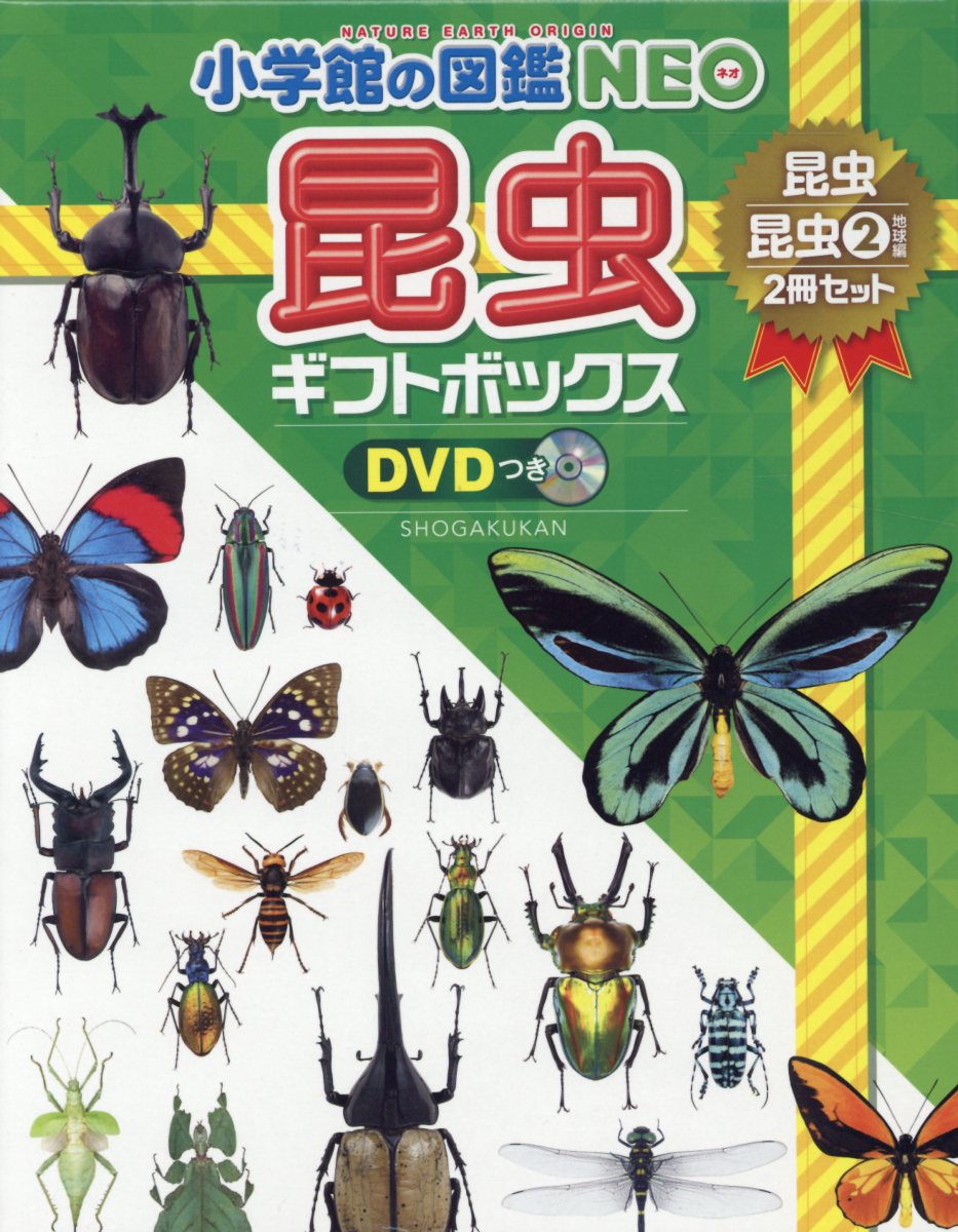 小学館の図鑑NEO昆虫ギフトボックス2冊セット DVDつき 昆虫／昆虫2地球篇