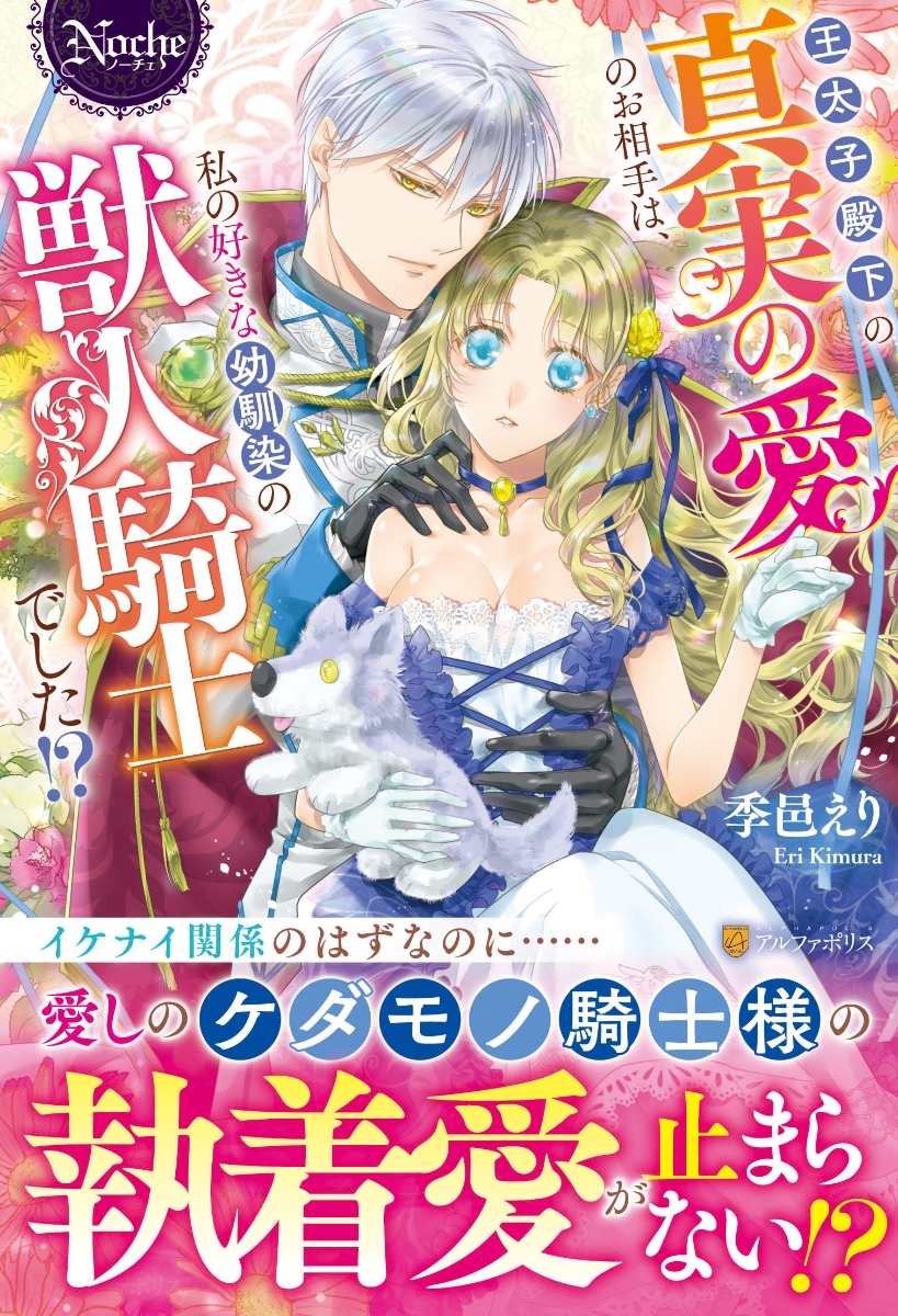 特別訳あり特価】 恋愛小説 ノーチェ フェアリーキス アイリスネオ 本