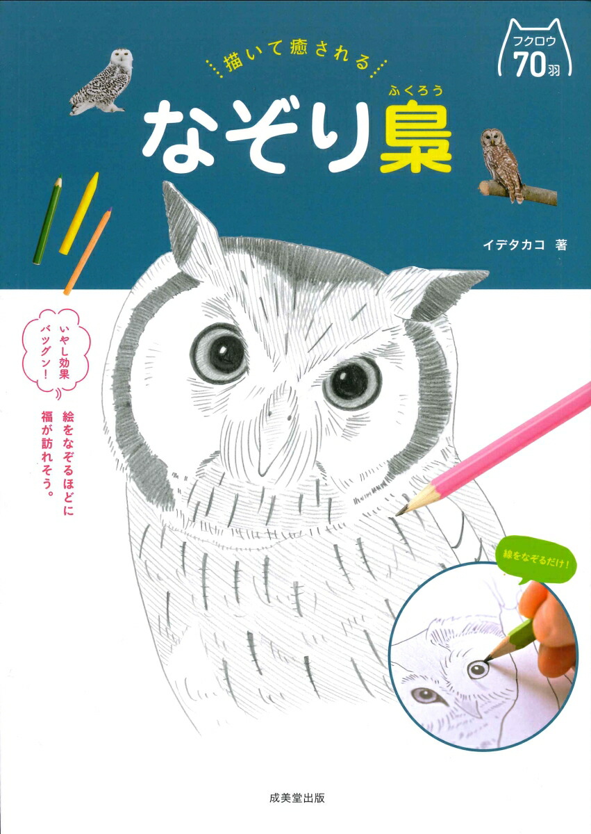楽天ブックス 描いて癒される なぞり梟 イデ タカコ 本