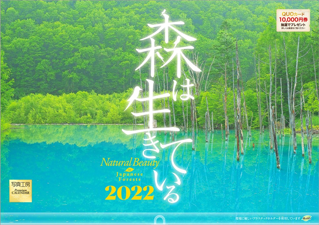 楽天ブックス 楽天ブックス限定特典 森は生きている 22年 カレンダー 壁掛け 風景 特典データ Pc スマホ壁紙 バーチャル背景 に最適なdl画像 本
