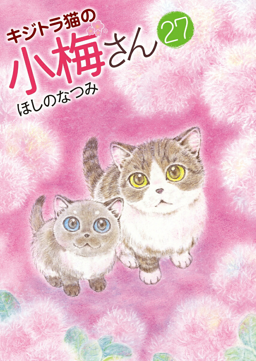 キジトラ猫の小梅さん 23 (23巻) (ねこぱんちコミックス