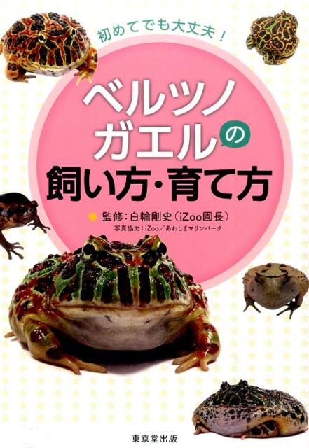 楽天ブックス ベルツノガエルの飼い方 育て方 初めてでも大丈夫 白輪剛史 本