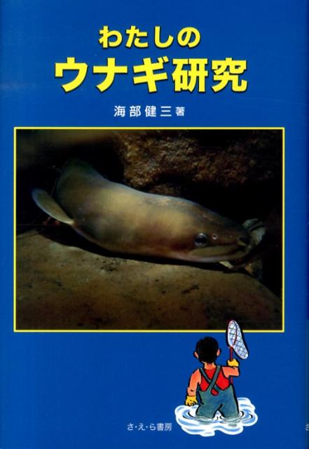 楽天ブックス わたしのウナギ研究 海部健三 本