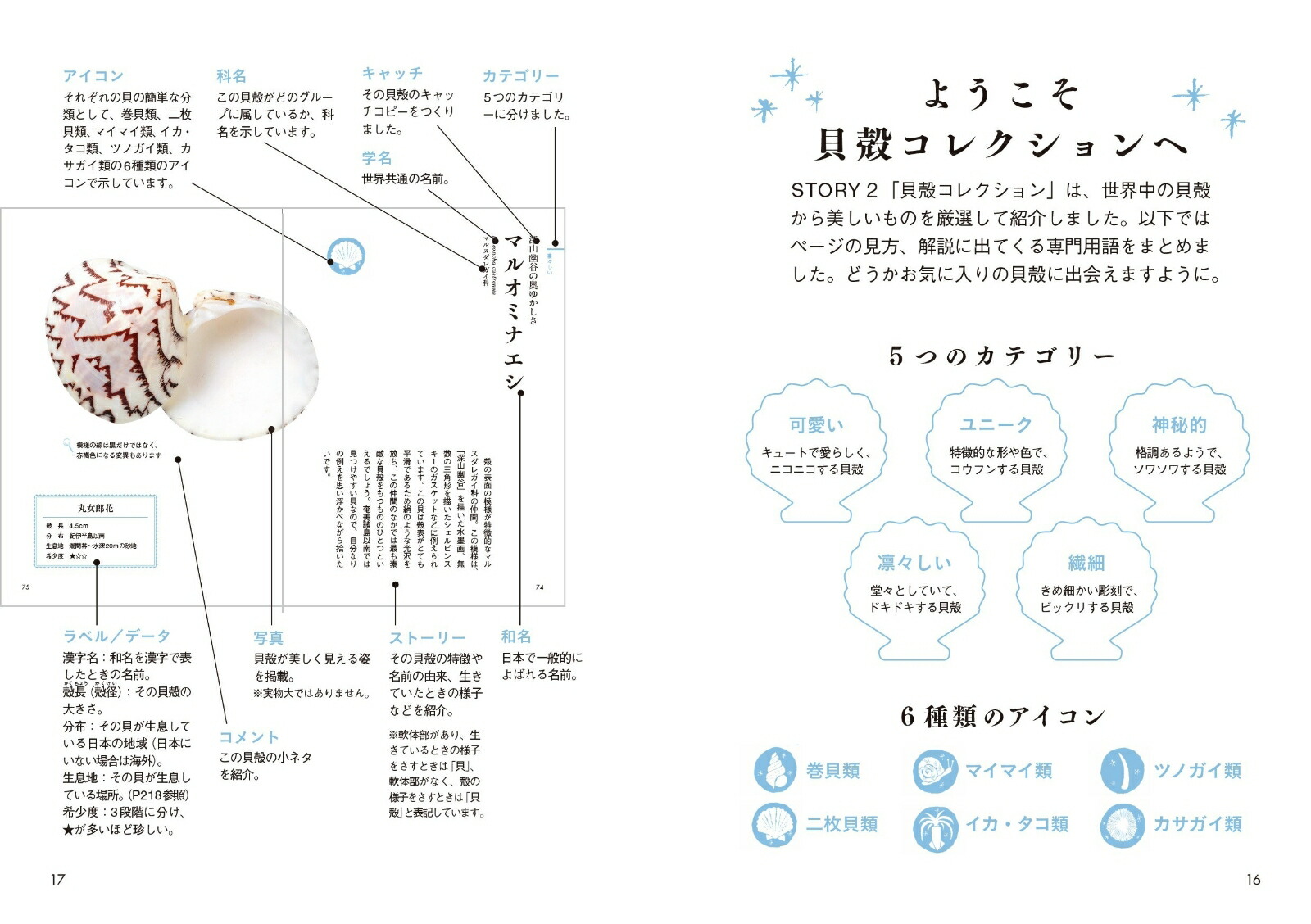 楽天ブックス ときめく貝殻図鑑 本