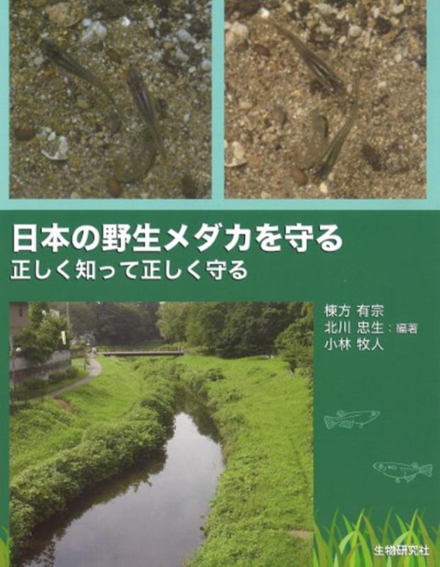 楽天ブックス 日本の野生メダカを守る 正しく知って正しく守る 棟方有宗 本