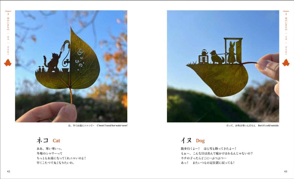 �դä��ڤ골������Τ�����[��ȡ��դä��ڤ골]