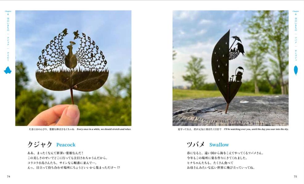 �դä��ڤ골������Τ�����[��ȡ��դä��ڤ골]