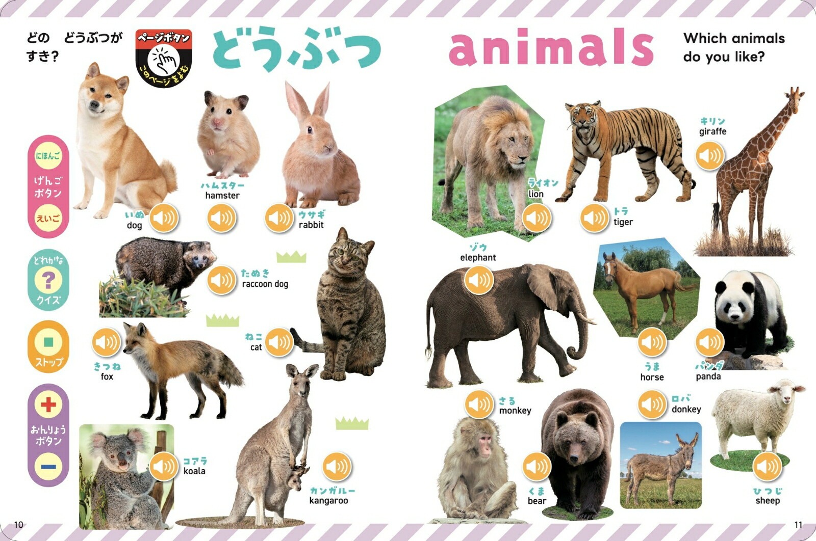 押すだけで日本語と英語が聞ける！はじめてのことばずかん600
