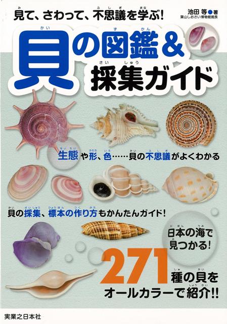 楽天ブックス バーゲン本 貝の図鑑 採集ガイド 池田 等 本