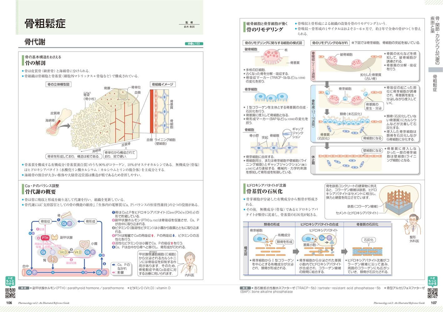 �����ߤ����vol.2��[���ž���ʳظ����]
