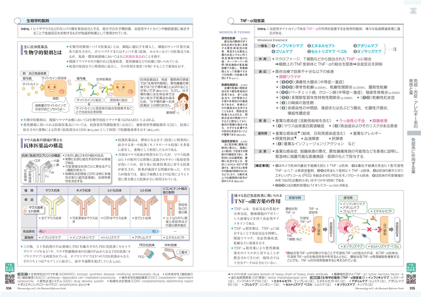 �����ߤ����vol.2��[���ž���ʳظ����]