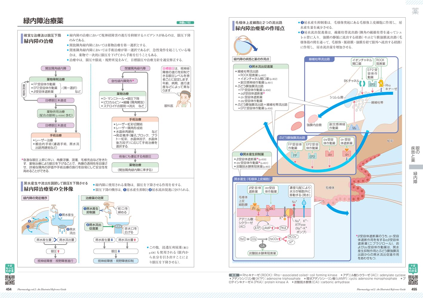 �����ߤ����vol.2��[���ž���ʳظ����]