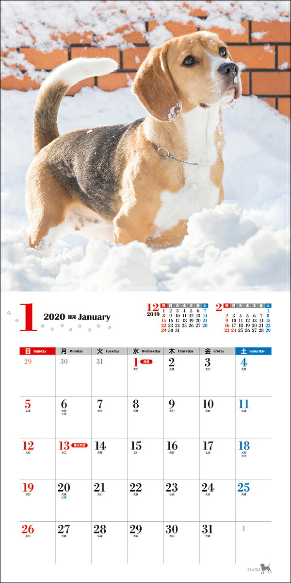 2020ǯ��Ƚ���������ӡ�����[ʿ������]