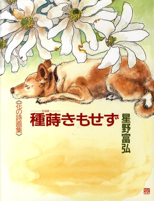 Amazon.co.jp: かぎりなくやさしい花々より: 抄録 (偕成社・本の