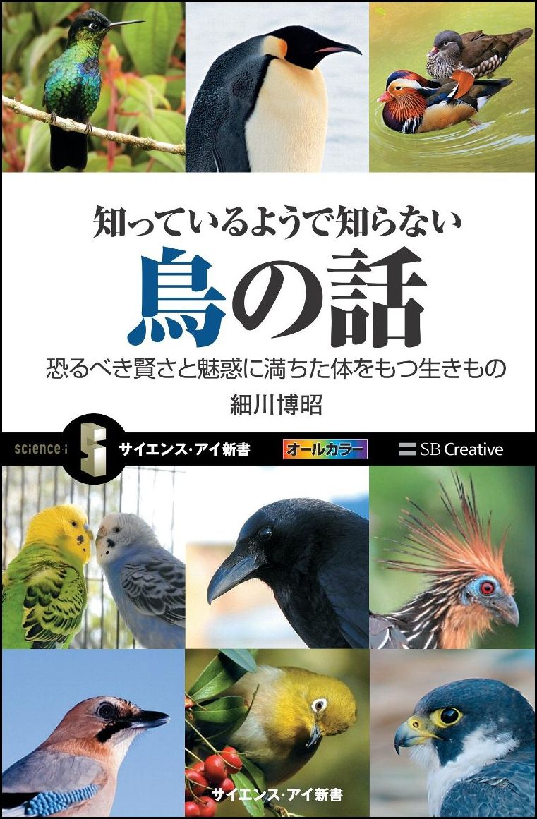 楽天ブックス 知っているようで知らない鳥の話 恐るべき賢さと魅惑に満ちた体をもつ生きもの 細川 博昭 本