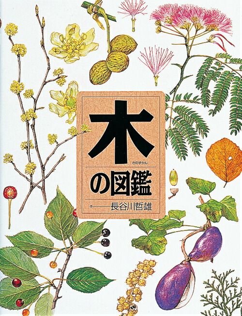 楽天ブックス 木の図鑑 長谷川哲雄 9784265029204 本