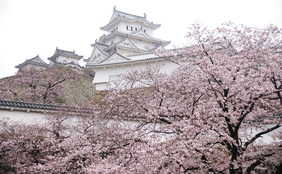 楽天ブックス 一生に一度は見たい日本の歴史的名建築100選 後藤 治 本