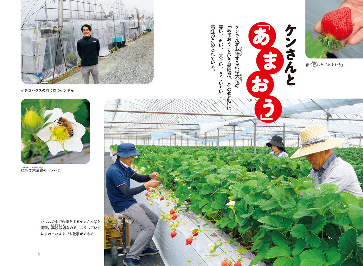 楽天ブックス ケンさん イチゴの虫をこらしめる あまおう 栽培農家の挑戦 谷本雄治 本