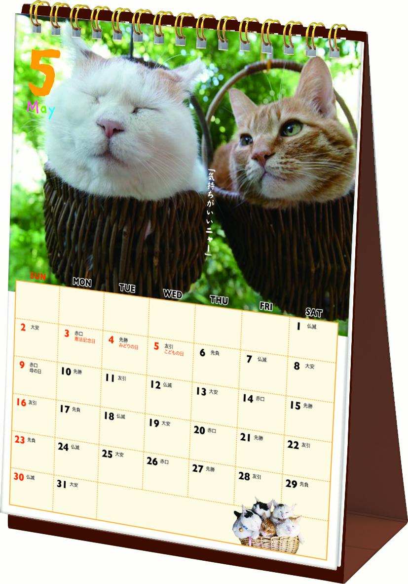 楽天ブックス 学研ステイフル カレンダー 21年 卓上 かご猫 卓上カレンダー 本