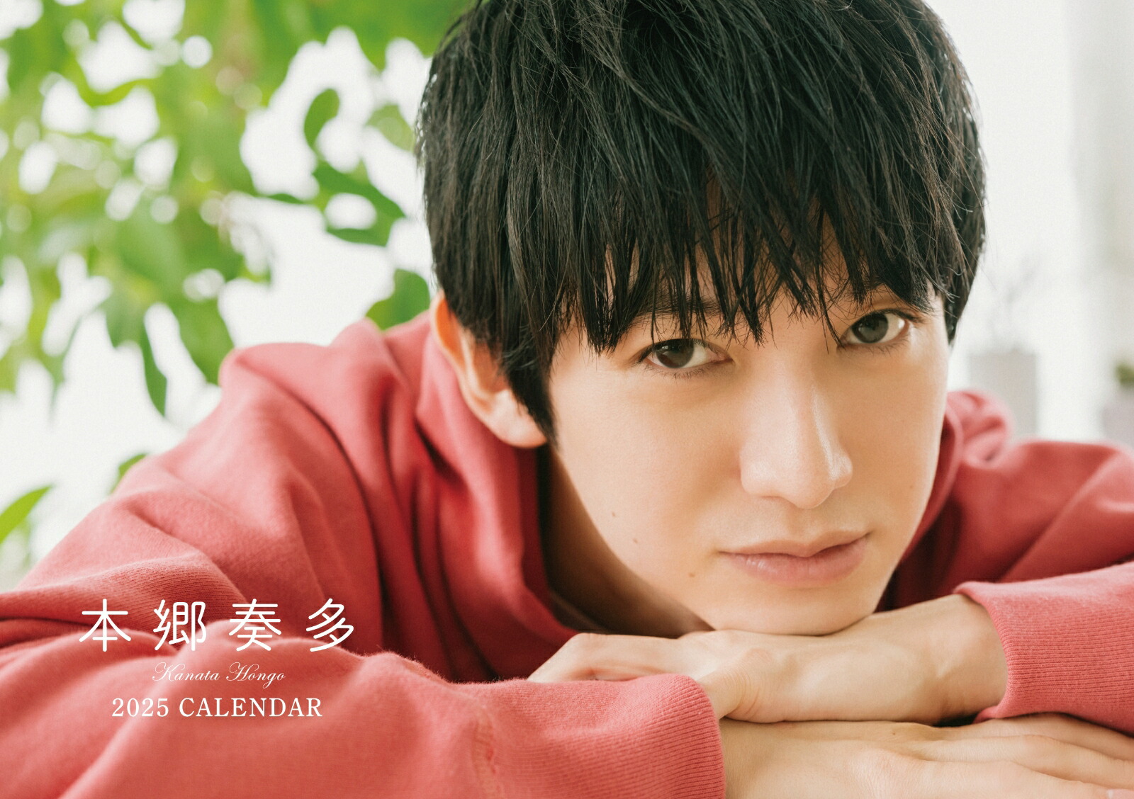 �ڳ�ŷ�֥å���������ŵ���ܶ���¿��������2025(���ꥸ�ʥ륹�ƥå���1��)[�ܶ���¿]