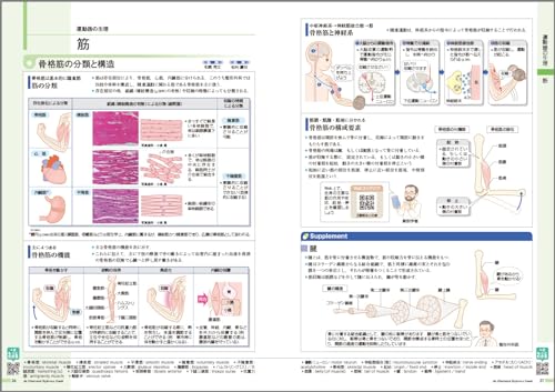 病気がみえる（vol.11）運動器・整形外科[医療情報科学研究所]
