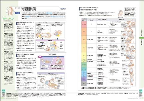 病気がみえる（vol.11）運動器・整形外科[医療情報科学研究所]