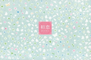 楽天ブックス: 初恋 コンプリートDVD-BOX - ペ・ヨンジュン