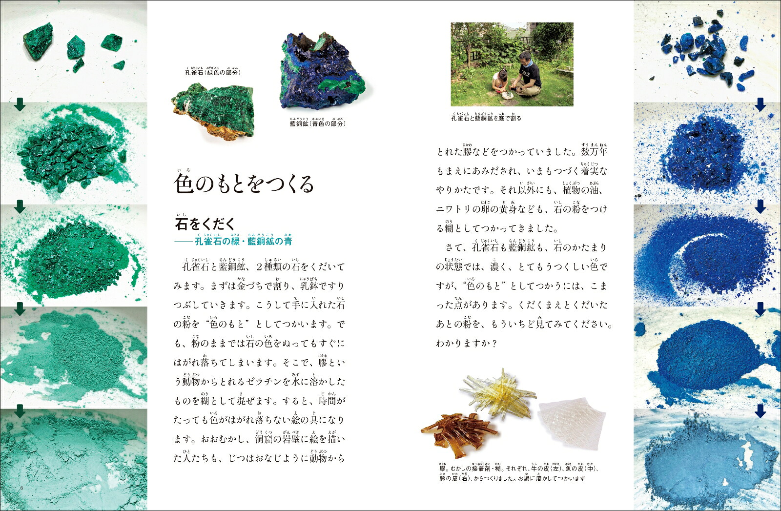 いろいろ色のはじまり（たくさんのふしぎ傑作集）[田中陵二]