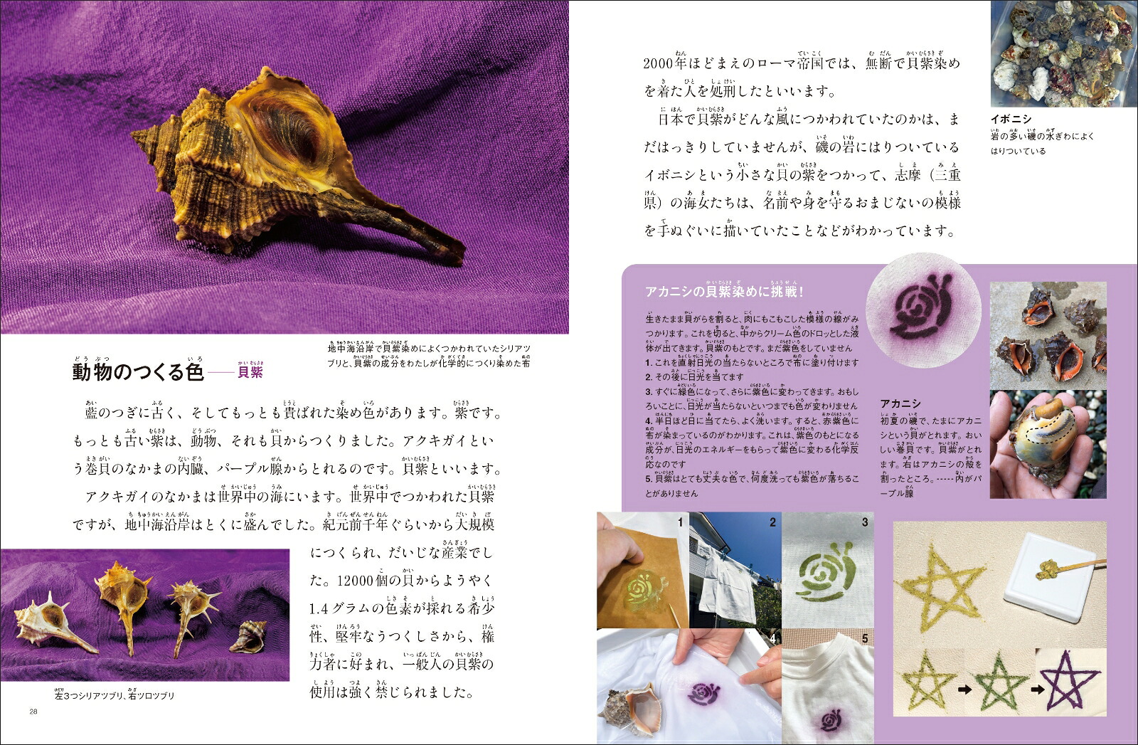 いろいろ色のはじまり（たくさんのふしぎ傑作集）[田中陵二]