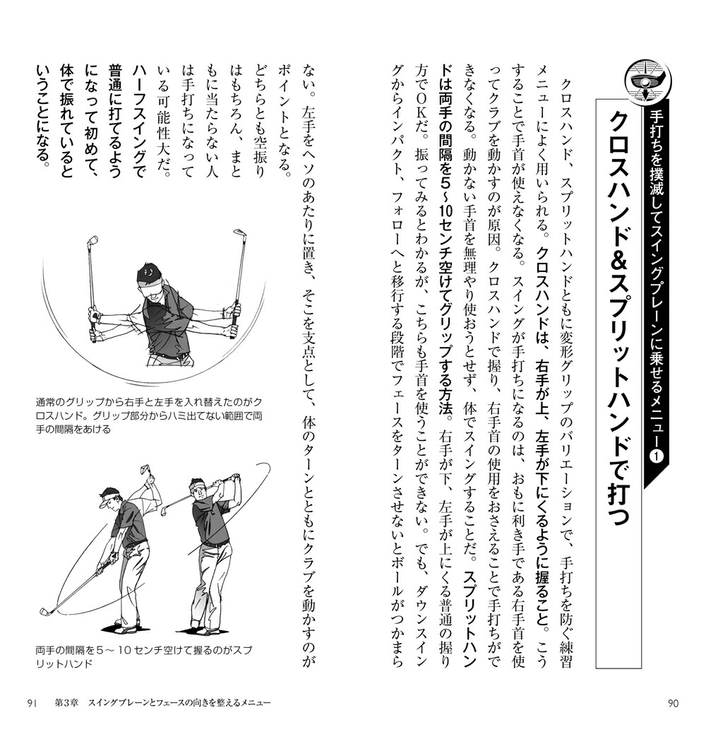 �ɤ��Ǻ�ߤ��ȯ��á������¨������ˡ[����վ�ã�����ǥߡ�]